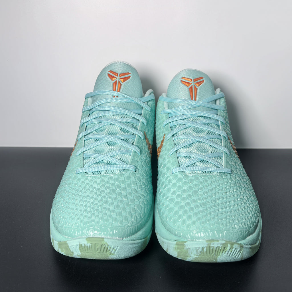 NK Zoom Kobe 6 Protro 