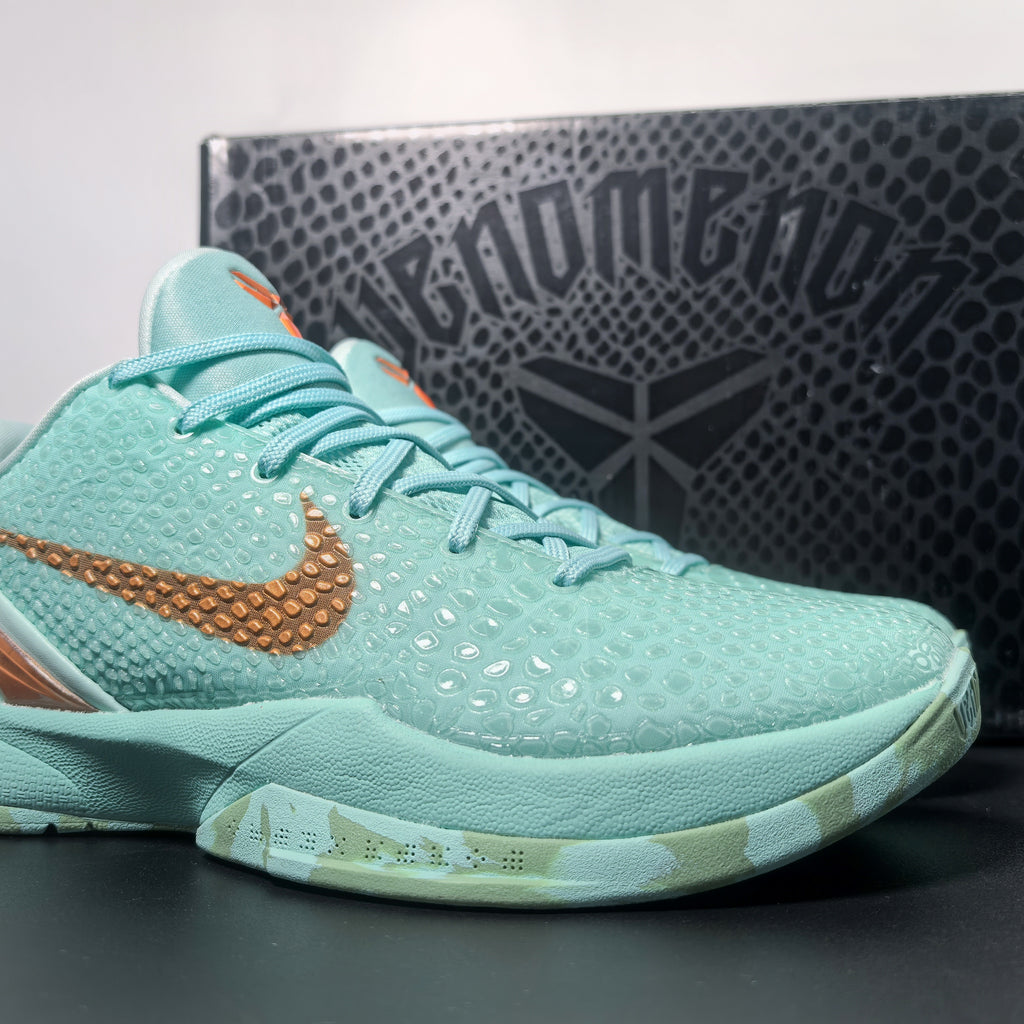 NK Zoom Kobe 6 Protro 