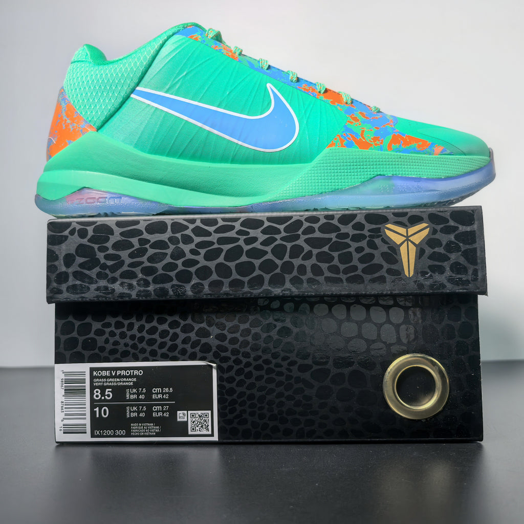 Nike Kobe 5 Protro-NY vs. NY-